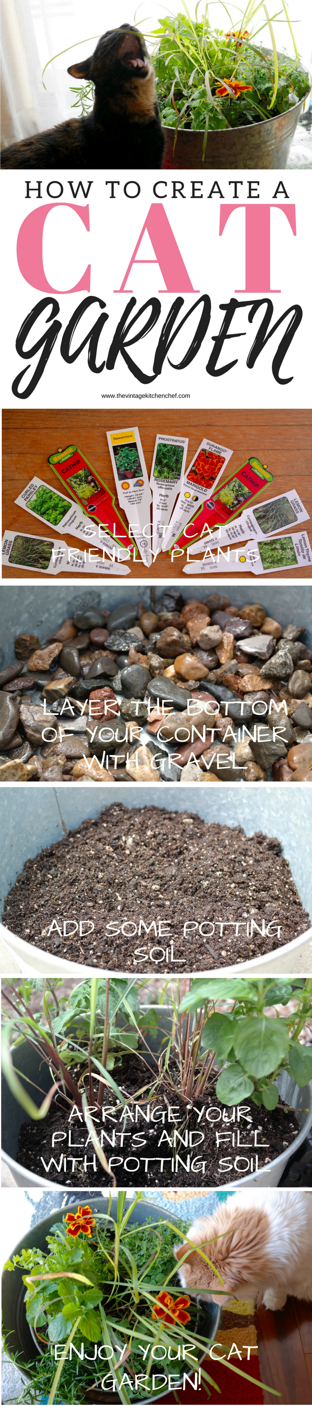 Cats are my passion and I love gardening and herbs and flowers! Learn how to create a cat garden that will make your feline family members happy! 